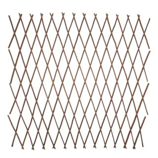 Expanding Willow Trellis 1 Expanding Willow Trellis