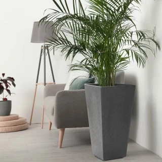 B&M Sonata Planter 71cm - Pewter 2 B&M Sonata Planter 71cm - Pewter - Image 2