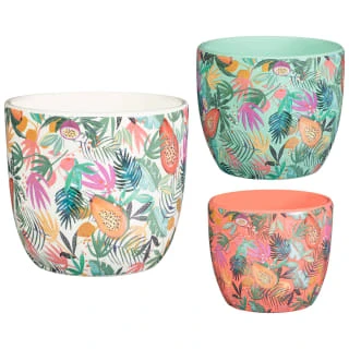 B&M Superbloom Sun Ceramic Plant Pots 3pk - Floral 1 B&M Superbloom Sun Ceramic Plant Pots 3pk - Floral
