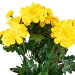 B&M Garden Shop -B&M Garden Shop 392826 zinnia in pot yellow 2