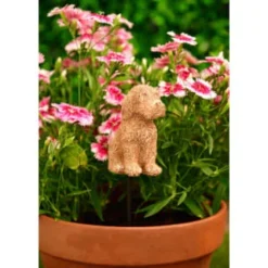 B&M Cockapoo Pot Stick -B&M Garden Shop 392836 cockapoo pot stick1