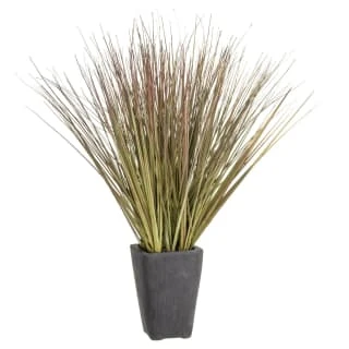 B&M Onion Grass In Black Terracotta Pot 1 B&M Onion Grass In Black Terracotta Pot