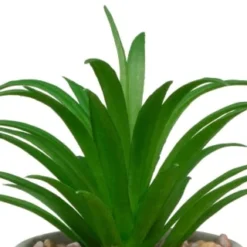 B&M Assorted Small Concrete Succulents 13 B&M Assorted Small Concrete Succulents -B&M Garden Shop 394713 small concrete succulent 2