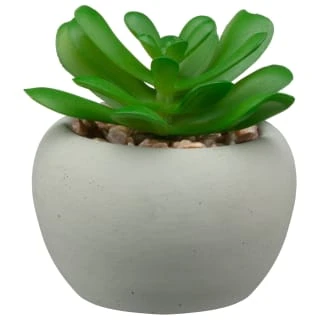 B&M Assorted Small Concrete Succulents 3 B&M Assorted Small Concrete Succulents - Image 3