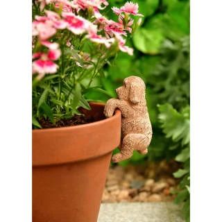 B&M Garden Shop -B&M Garden Shop 392838 cockapoo pot hook1